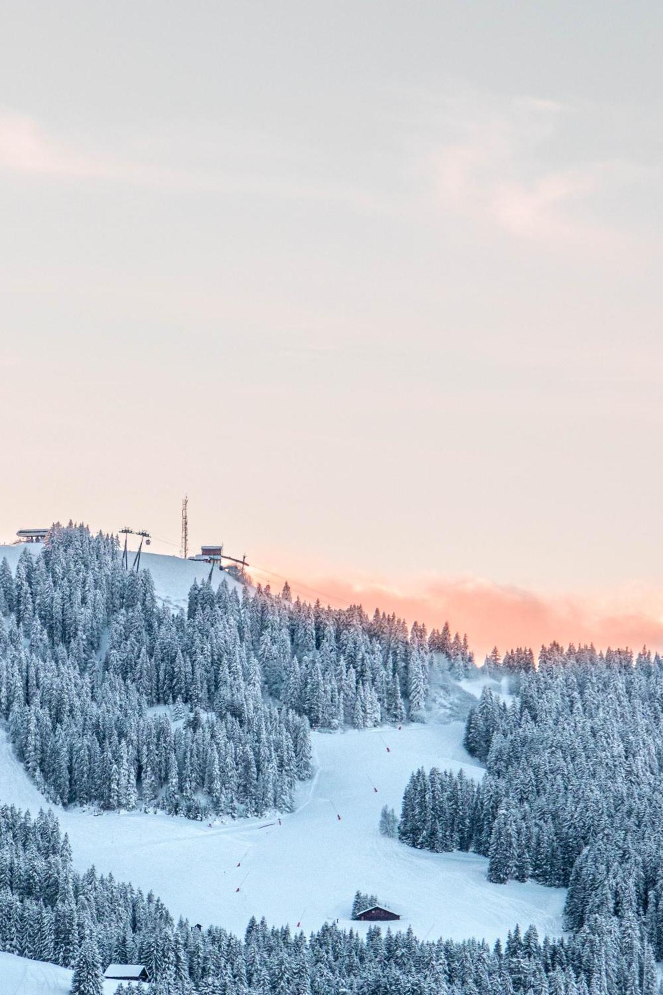 Chalet Mont D'Arbois Ski Et Golf Межев Екстер'єр фото